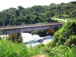 Visit Karuma Falls