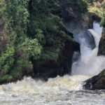 Visit Murchison Falls
