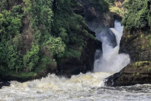 Visit Murchison Falls