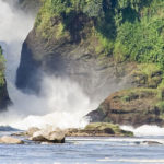 Great Flow of Murchison Falls