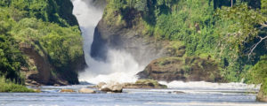 Great Flow of Murchison Falls